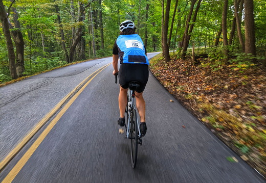 PXL 20211010 133110943-01.jpeg