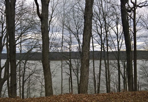 WP-20161229-15-04-12-Pro