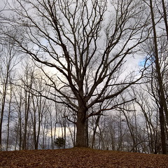 WP-20161229-15-24-13-Pro