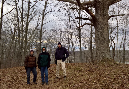 WP-20161229-15-25-17-Pro