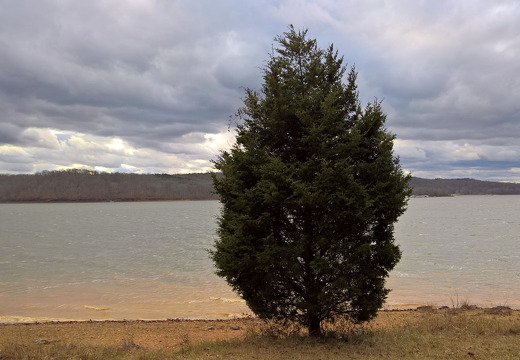 WP-20161229-15-46-35-Raw