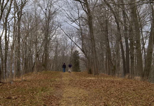 WP-20161229-16-04-04-Raw