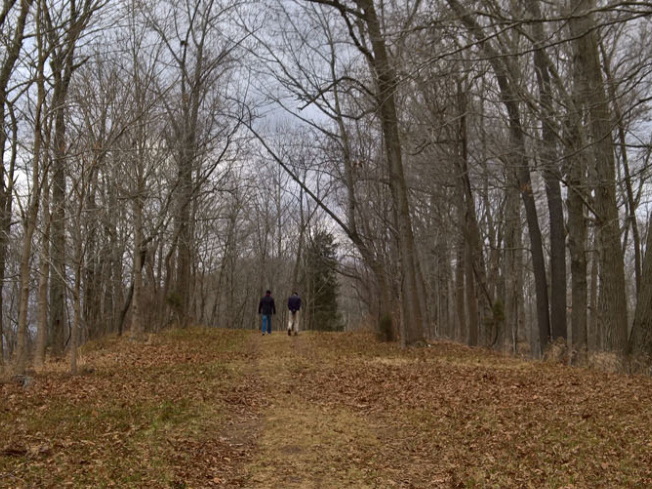 WP-20161229-16-04-04-Raw