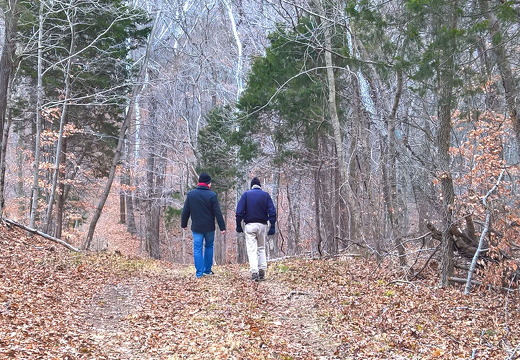 WP-20161229-16-05-52-Raw