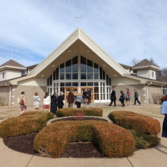 PXL 20220226 193625619