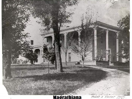 00-Magrathiana-paint