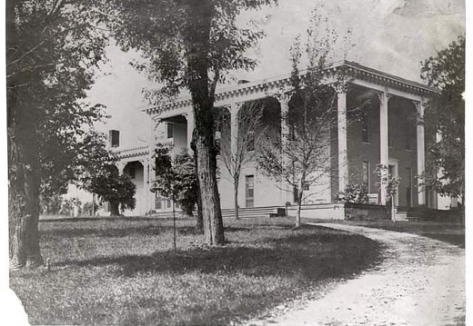 00-Magrathiana-paint