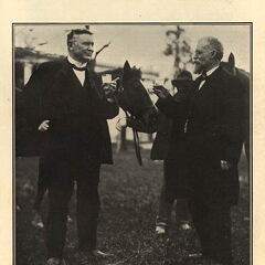 02-coachandsaddle-col-young