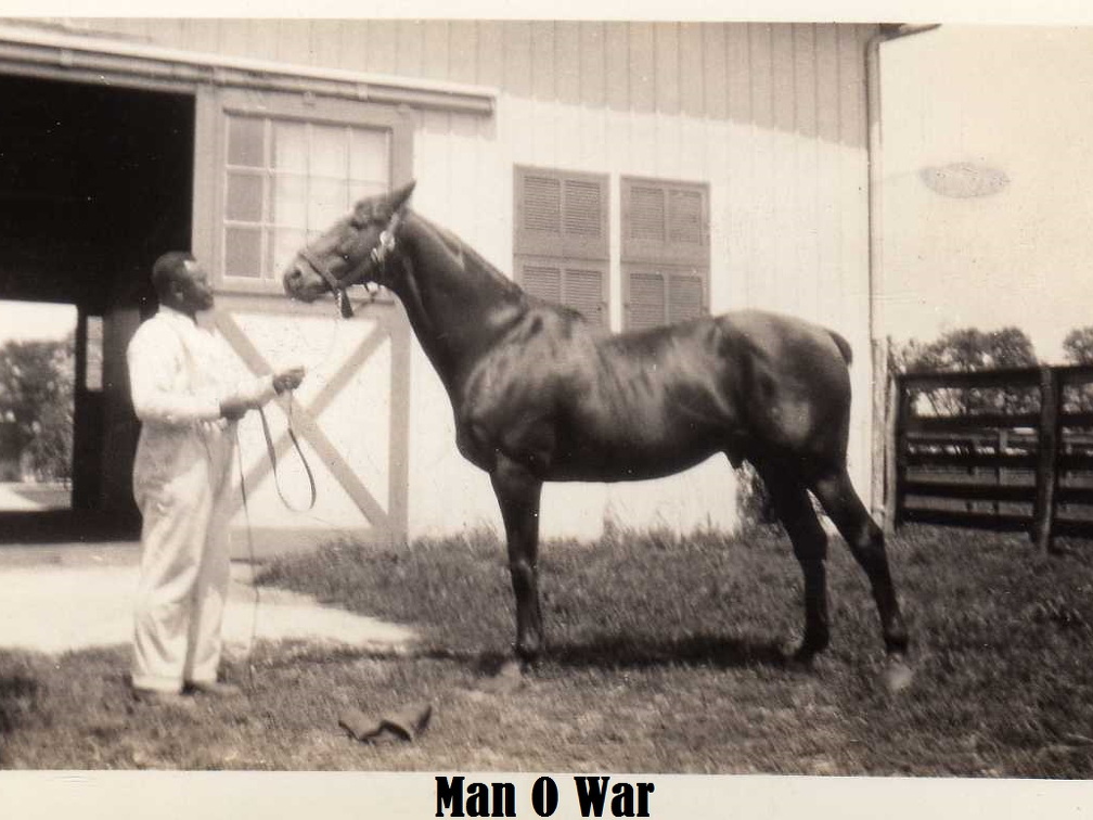 06-Man-O-War-paint