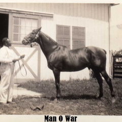 06-Man-O-War-paint