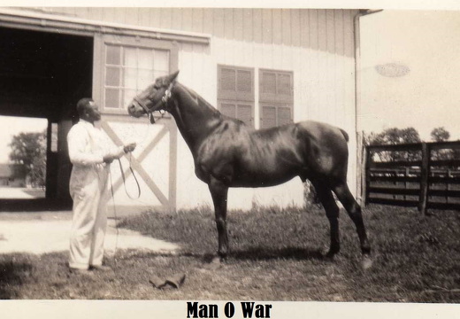06-Man-O-War-paint