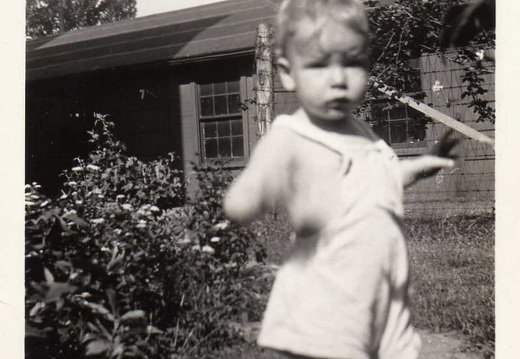 100-Milton-1934-2-yrs-old-paint