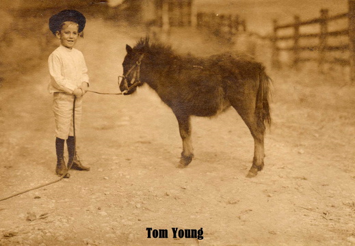 60-Tom-Young-paint