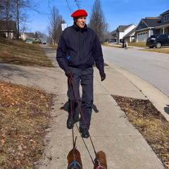 762-Milton Walking The Dogs