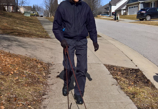 762-Milton Walking The Dogs