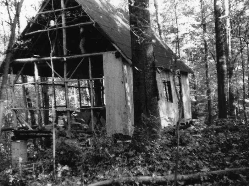 806-Cabin-FiskForest-1974320