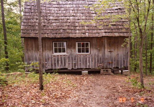 808-Cabin-MeFisk-Forest-1988806