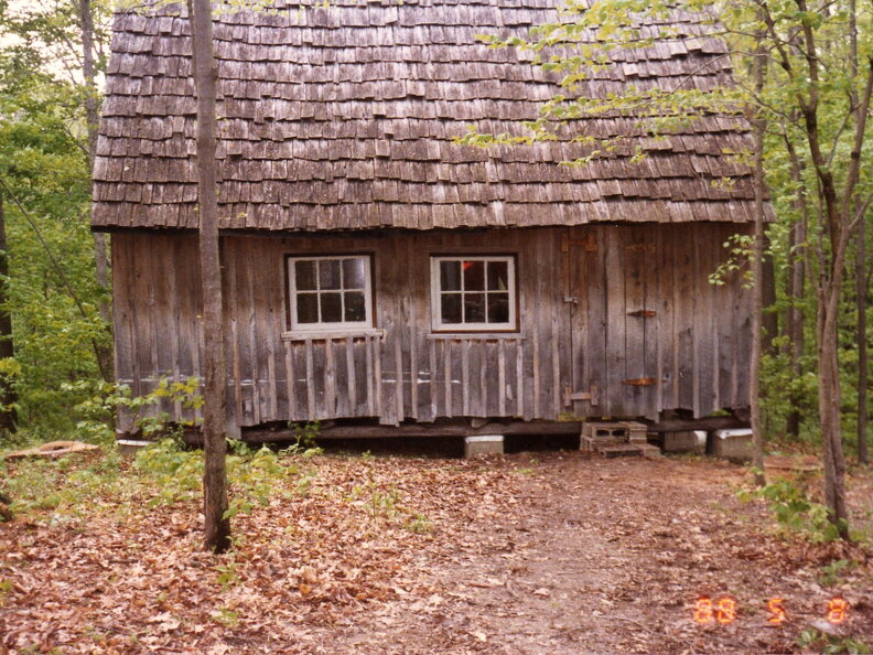 808-Cabin-MeFisk-Forest-1988806