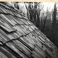813-Cabin-Shingles