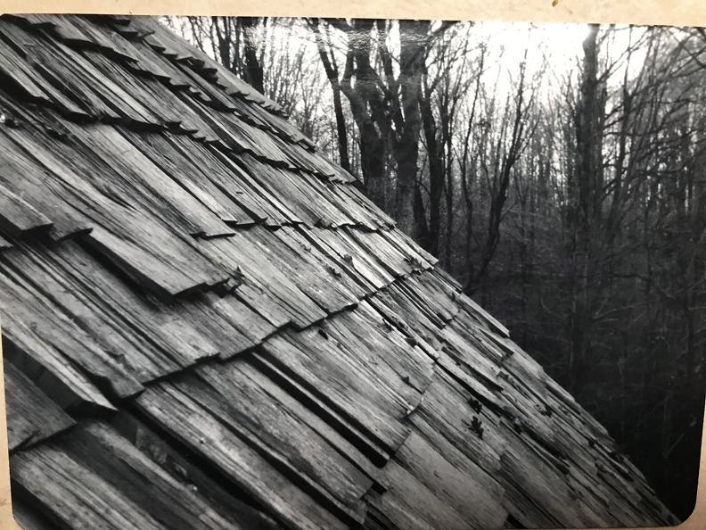 813-Cabin-Shingles.jpg