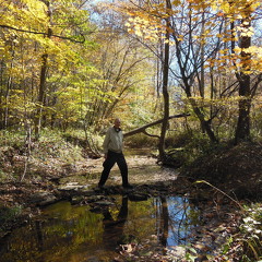 832-Milton-CrossingTheCreek-2013