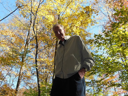 839-Milton Fall Trees-2013DSCN2268