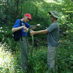 840-Milton Graham BottomLand-IMG 4817