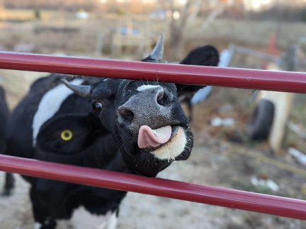 PXL 20221028 221333358.PORTRAIT