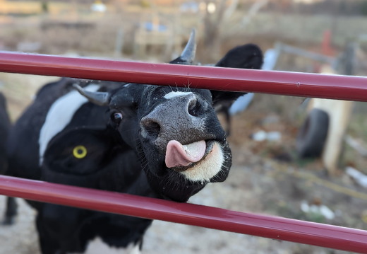 PXL 20221028 221333358.PORTRAIT