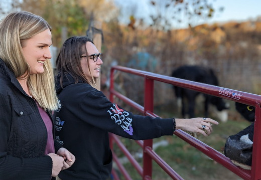 PXL 20221028 221641796.PORTRAIT