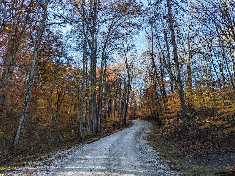 PXL 20221029 143455847-2