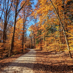 PXL 20221029 143720102-2