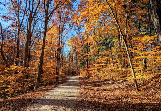 PXL 20221029 143720102-2