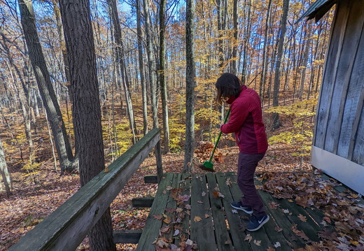 PXL 20221029 150139096