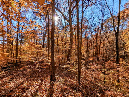 PXL 20221029 150543201-2