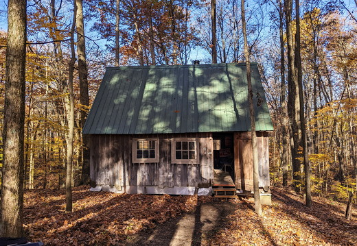 PXL 20221029 151639708-2