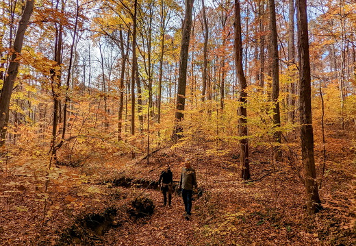 PXL 20221029 185812090 