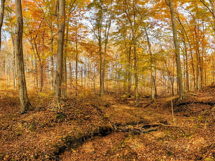 PXL 20221029 185921078.PANO-02