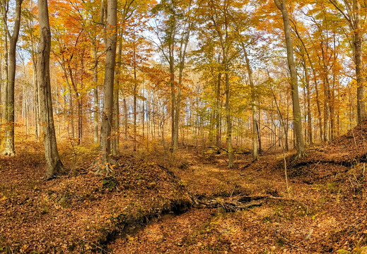 PXL 20221029 185921078.PANO-02