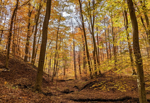 PXL 20221029 190100896-2