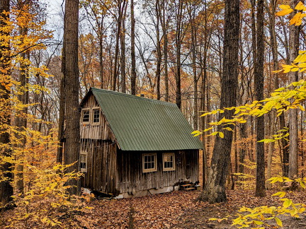 PXL 20221029 205358247-3