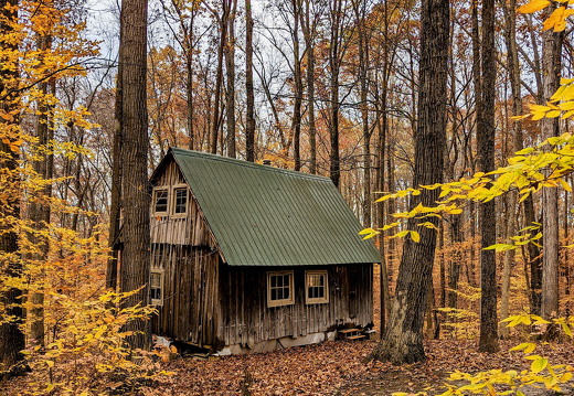 PXL 20221029 205358247-3