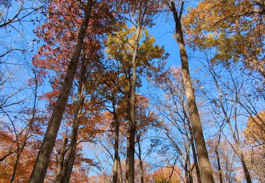 PXL 20221029 164607771