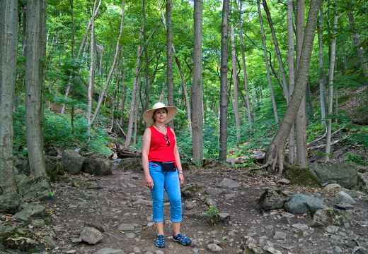 Niagara-Falls-2018-hike