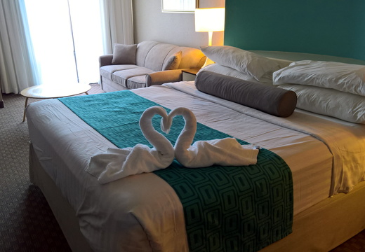 WP-20180727-16-36-09-Pro