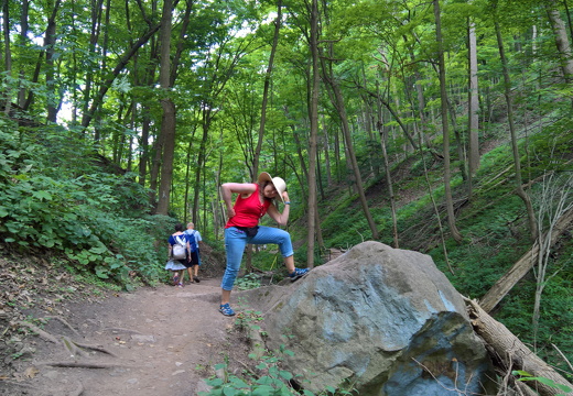 WP-20180728-12-13-24-Pro