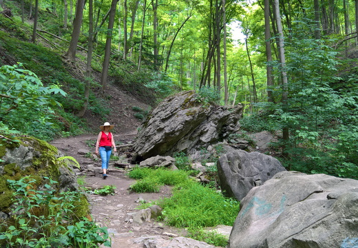 WP-20180728-12-17-30-Pro