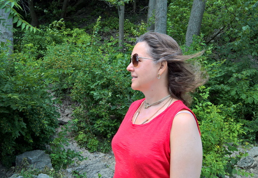 WP-20180728-13-45-11-Pro