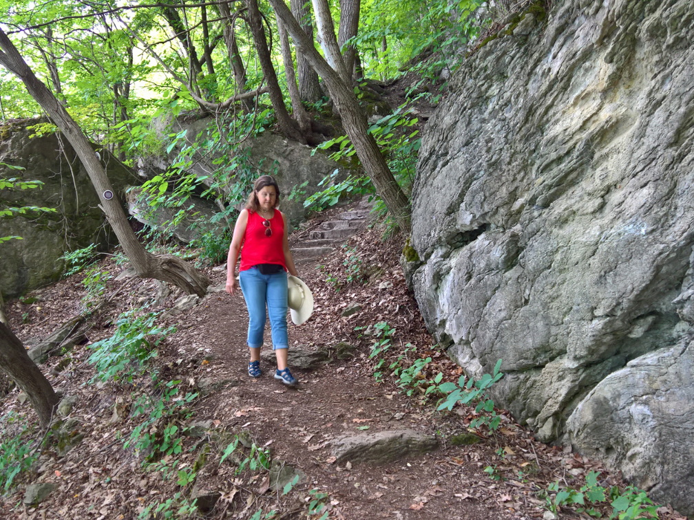 WP-20180728-14-00-42-Pro