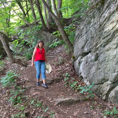 WP-20180728-14-00-42-Pro